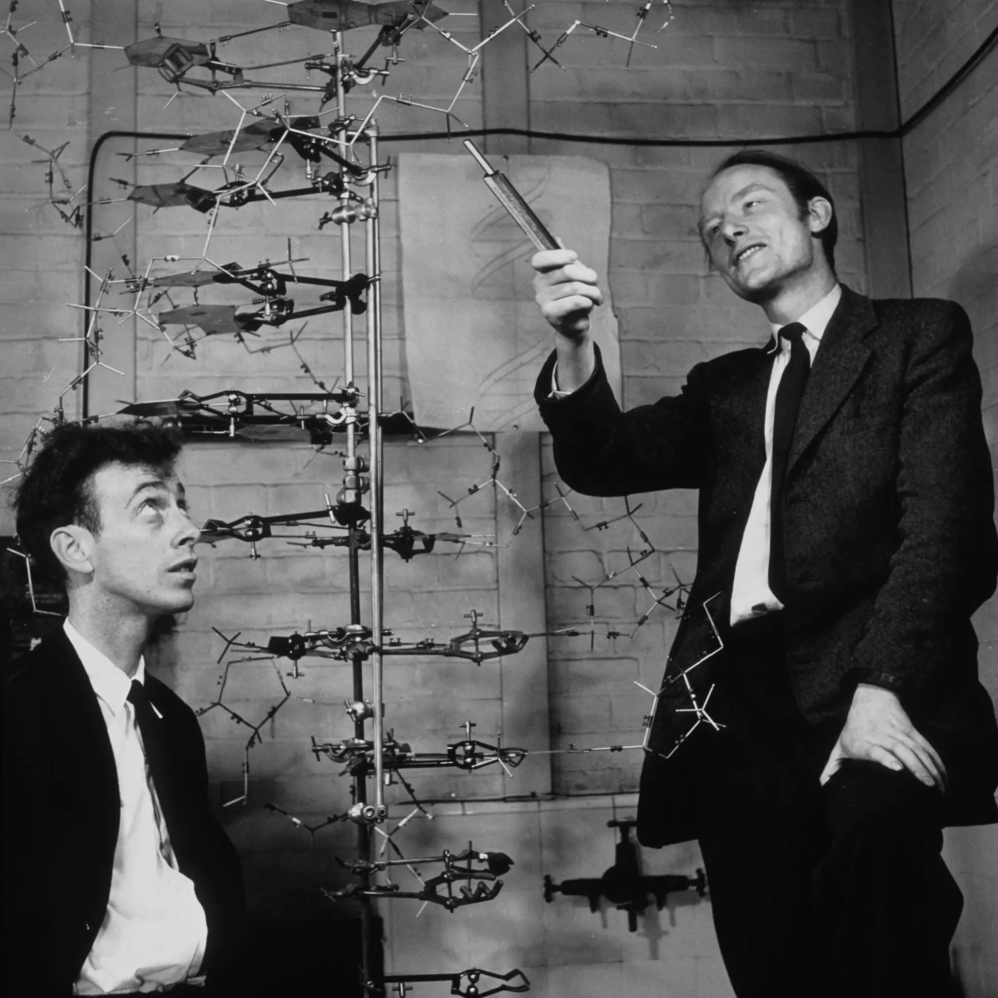 James Watson and Francis Crick with their DNA model.